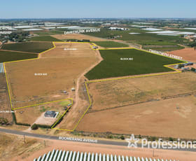 Rural / Farming commercial property for sale at Lot 2 Twentieth Street Cardross VIC 3496