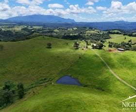 Rural / Farming commercial property for sale at 273 Hitchconole Road Tarzali QLD 4885