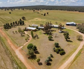 Rural / Farming commercial property for sale at 869 Newell Highway Narrandera NSW 2700