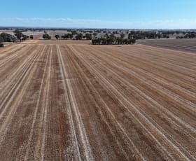 Rural / Farming commercial property for sale at ' The Pines'  57 Walshs Lane Berry Jerry NSW 2701