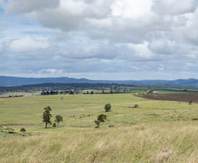 Rural / Farming commercial property sold at 1753 Yangan Killarney Road Killarney QLD 4373