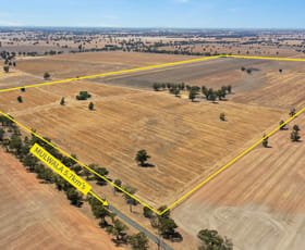 Rural / Farming commercial property for sale at LOT 1/DP52282 Bull Plain Road Mulwala NSW 2647