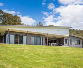 Rural / Farming commercial property for sale at 672 Careys Road Hillville NSW 2430