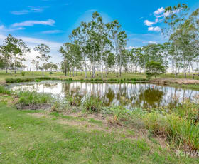 Rural / Farming commercial property for sale at 439 Eureka Station Road Eureka QLD 4660