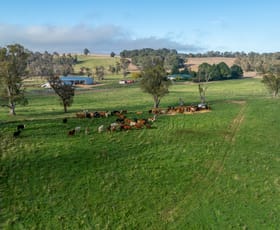 Rural / Farming commercial property sold at 1853 Nowendoc Road Niangala NSW 2354