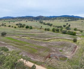 Rural / Farming commercial property for sale at "Cedar Tops" 877 Swinging Ridges Road Willow Tree NSW 2339