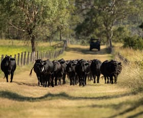 Rural / Farming commercial property for sale at "Hi-View" 299 Hudson Road Felton QLD 4358