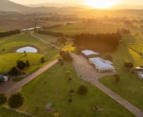 Rural / Farming commercial property for sale at 11191 Nerriga Road Braidwood NSW 2622
