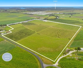Rural / Farming commercial property for sale at 337 South Bank Road Palmers Channel NSW 2463