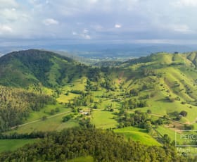 Rural / Farming commercial property for sale at 802 & 817 Kindee Road Kindee NSW 2446