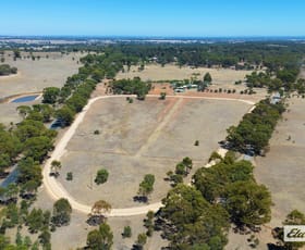 Rural / Farming commercial property for sale at 53 Nixons Road Shelbourne VIC 3515