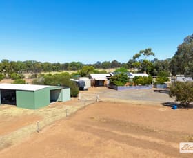 Rural / Farming commercial property for sale at 53 Nixons Road Shelbourne VIC 3515