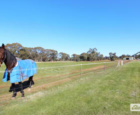 Rural / Farming commercial property for sale at 53 Nixons Road Shelbourne VIC 3515