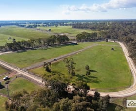 Rural / Farming commercial property for sale at 53 Nixons Road Shelbourne VIC 3515
