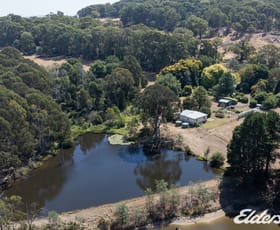 Rural / Farming commercial property for sale at 418 Boundary Hill Road Boho South VIC 3669