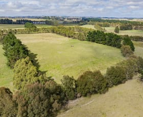 Rural / Farming commercial property for sale at 251 Mount Rae Road Roslyn NSW 2580