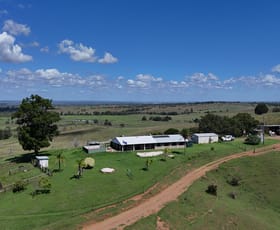 Rural / Farming commercial property for sale at 19516 Burnett Highway Mundubbera QLD 4626