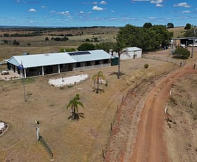 Rural / Farming commercial property for sale at 19516 Burnett Highway Mundubbera QLD 4626