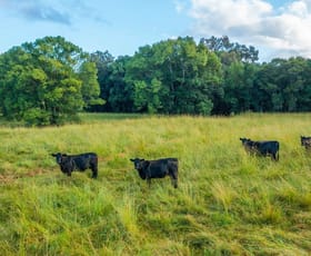 Rural / Farming commercial property for sale at 102 Fishers Ridge Rd Mortons Creek NSW 2446