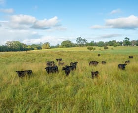 Rural / Farming commercial property for sale at 102 Fishers Ridge Rd Mortons Creek NSW 2446