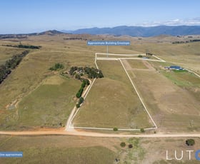 Rural / Farming commercial property for sale at 556 Micalago Road Michelago NSW 2620