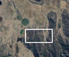 Rural / Farming commercial property for sale at PID 9196166 Royal George Road Avoca TAS 7213