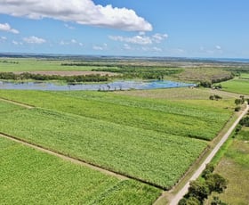 Rural / Farming commercial property for sale at 403 Peggy Bog Road Airdmillan QLD 4807