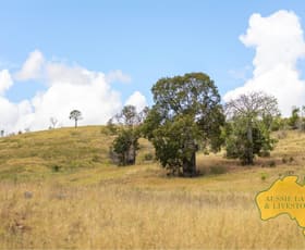Rural / Farming commercial property for sale at 280 HOCHMUTHS ROAD Cattle Creek QLD 4626