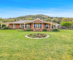 Rural / Farming commercial property for sale at 1519 Upper Moore Creek Road Tamworth NSW 2340