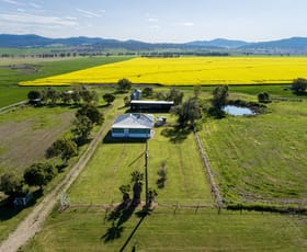 Rural / Farming commercial property for sale at 2291 Werris Creek Road Werris Creek NSW 2341