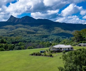 Rural / Farming commercial property for sale at 68 Tyalgum Creek Road Tyalgum Creek NSW 2484