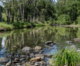 Rural / Farming commercial property for sale at 68 Tyalgum Creek Road Tyalgum Creek NSW 2484