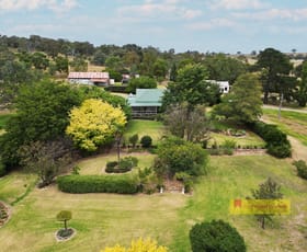 Rural / Farming commercial property for sale at 60 Beechworth Road Mudgee NSW 2850
