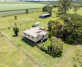 Rural / Farming commercial property for sale at 123 Conlons Road Horton QLD 4660