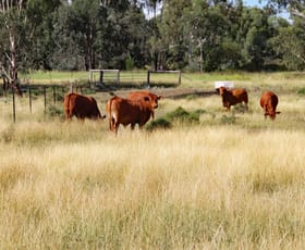 Rural / Farming commercial property sold at 782 Floods Road Dululu QLD 4702