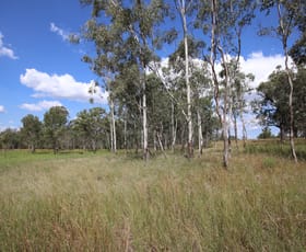 Rural / Farming commercial property for sale at The Horseshoe Radio Station Road Eidsvold QLD 4627
