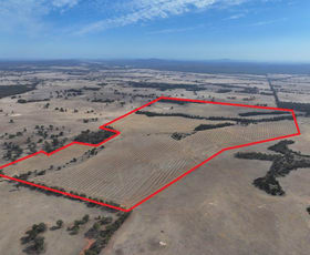 Rural / Farming commercial property for sale at Lot 8 Dunolly-Orville Road Murphys Creek VIC 3551