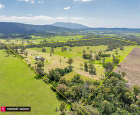 Rural / Farming commercial property for sale at 10419 Princes Highway Cobargo NSW 2550