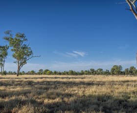 Rural / Farming commercial property for sale at 4550 Bollon Dirranbandi Road Dirranbandi QLD 4486