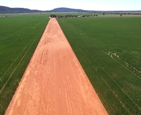 Rural / Farming commercial property for sale at 2190 Yarrabandai Road Trundle NSW 2875