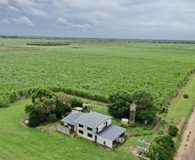 Rural / Farming commercial property for sale at 183 Burstall Road Ayr QLD 4807