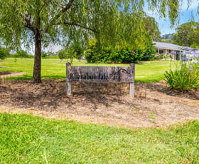 Rural / Farming commercial property for sale at 613 Comboyne Road Cedar Party NSW 2429