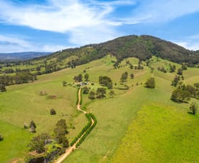 Rural / Farming commercial property for sale at 613 Comboyne Road Cedar Party NSW 2429