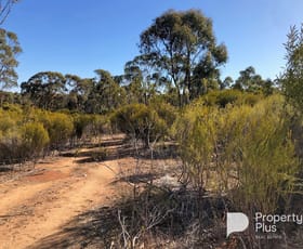 Rural / Farming commercial property sold at 8 Boort-Wedderburn Road Wedderburn VIC 3518