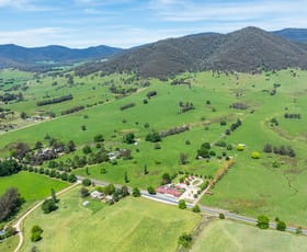 Rural / Farming commercial property for sale at 4320 Kiewa Valley Highway Dederang VIC 3691