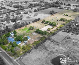 Rural / Farming commercial property for sale at 197 Pearcedale Road Cranbourne South VIC 3977