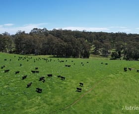 Rural / Farming commercial property for sale at 90 Porcupine Ridge Road Daylesford VIC 3460
