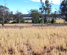 Rural / Farming commercial property for sale at 2381 Killarney Gap Road Narrabri NSW 2390