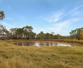 Rural / Farming commercial property for sale at 151 Curtin Road Ballandean QLD 4382