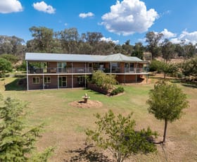 Rural / Farming commercial property for sale at 92 Stoney Hill Road Cowra NSW 2794